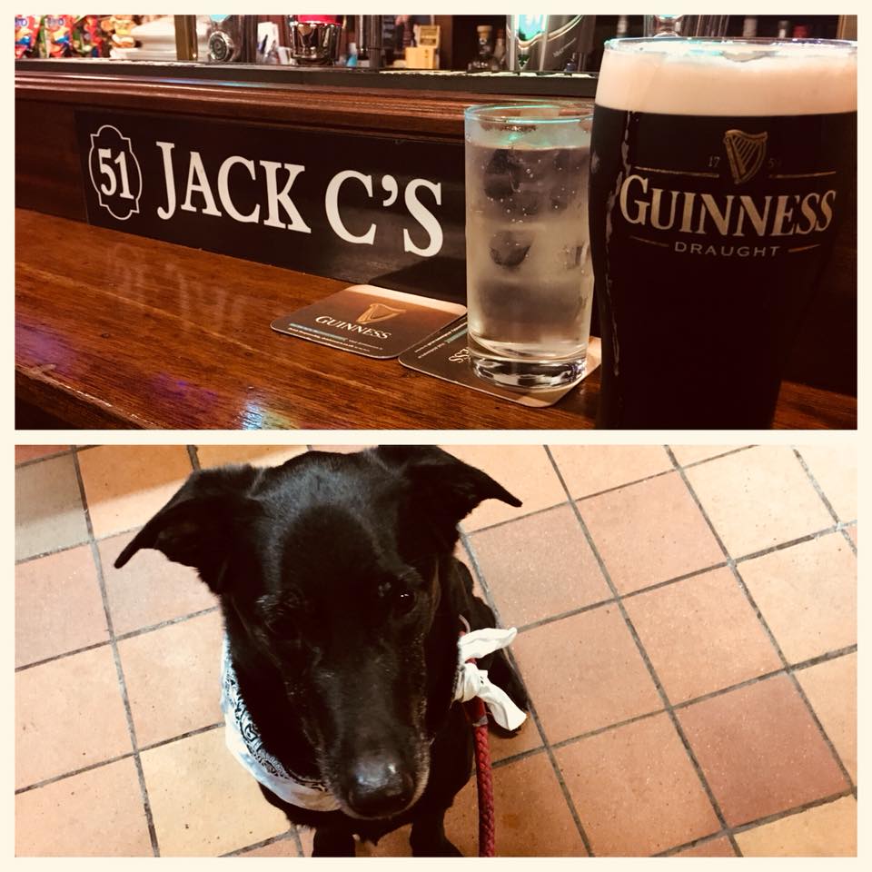 Moose Jack Cs - Moose the Dog in Ireland