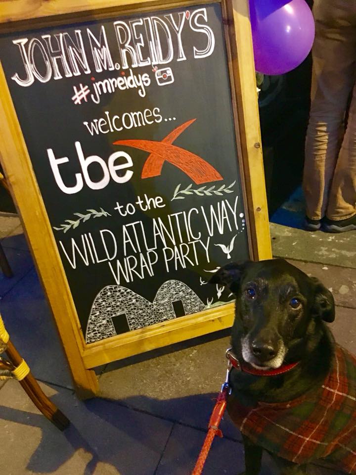 Moose at Wrap Party - Moose the dog in Ireland