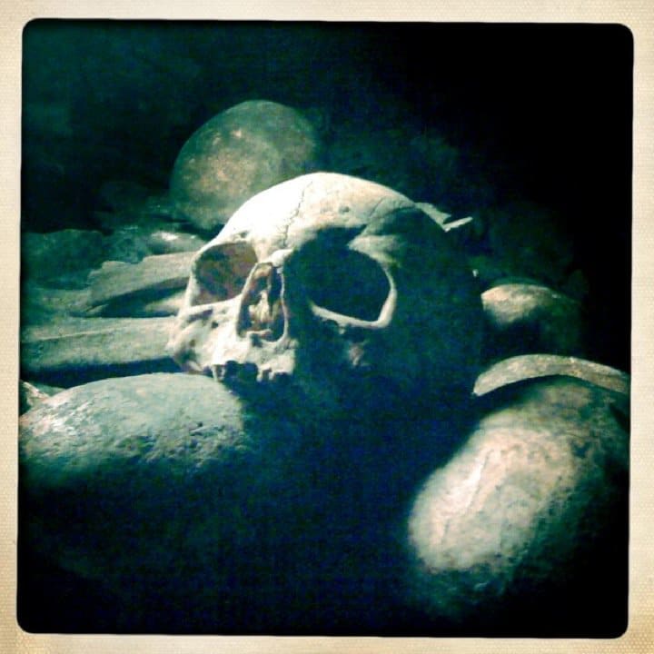 Skull in the Paris Catacombs