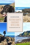 Visiting Giant's Causeway with a dog - HH Lifestyle Travel