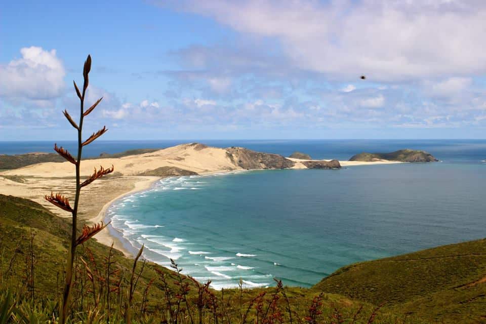 Cape Maria van Diemen, Northland New Zealand