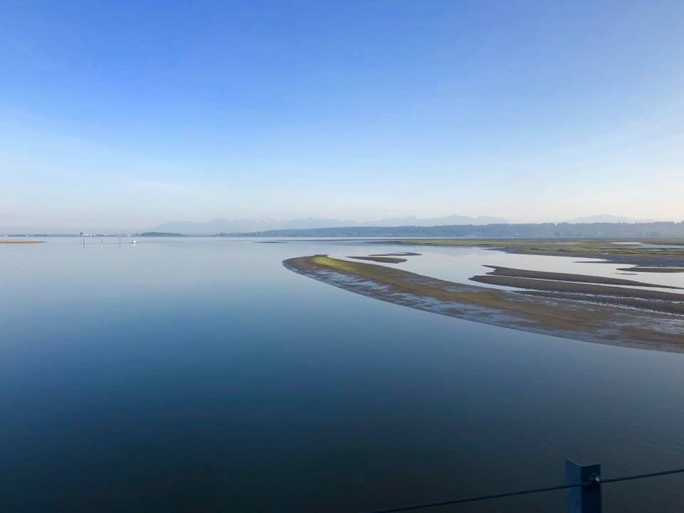 Boundary Bay - Pacific Cascades