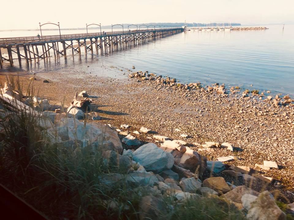 Semiahmoo Bay - Pacific to the Cascades