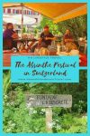 The Absinthe Festival in Switzerland - HH Lifestyle Travel