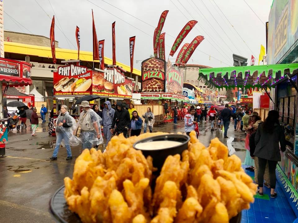 Blooming Onion at Calgary Stampede Midway