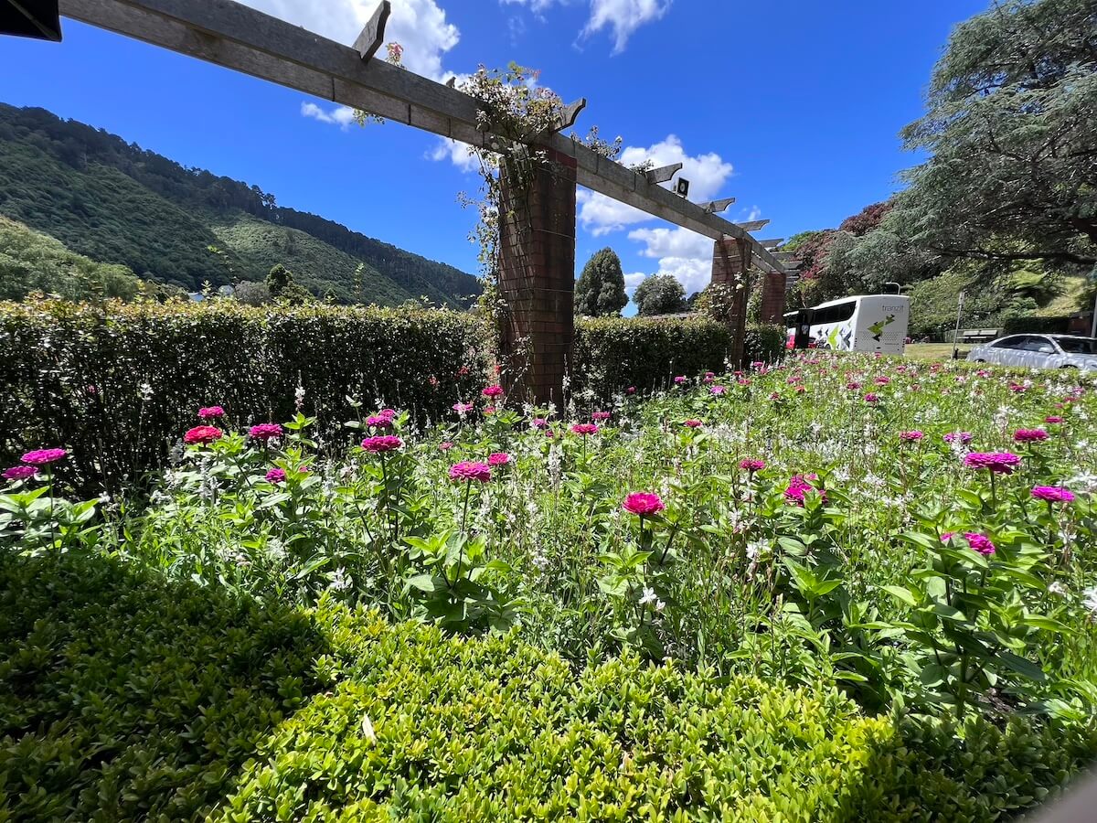 Botanic gardens, New Zealand