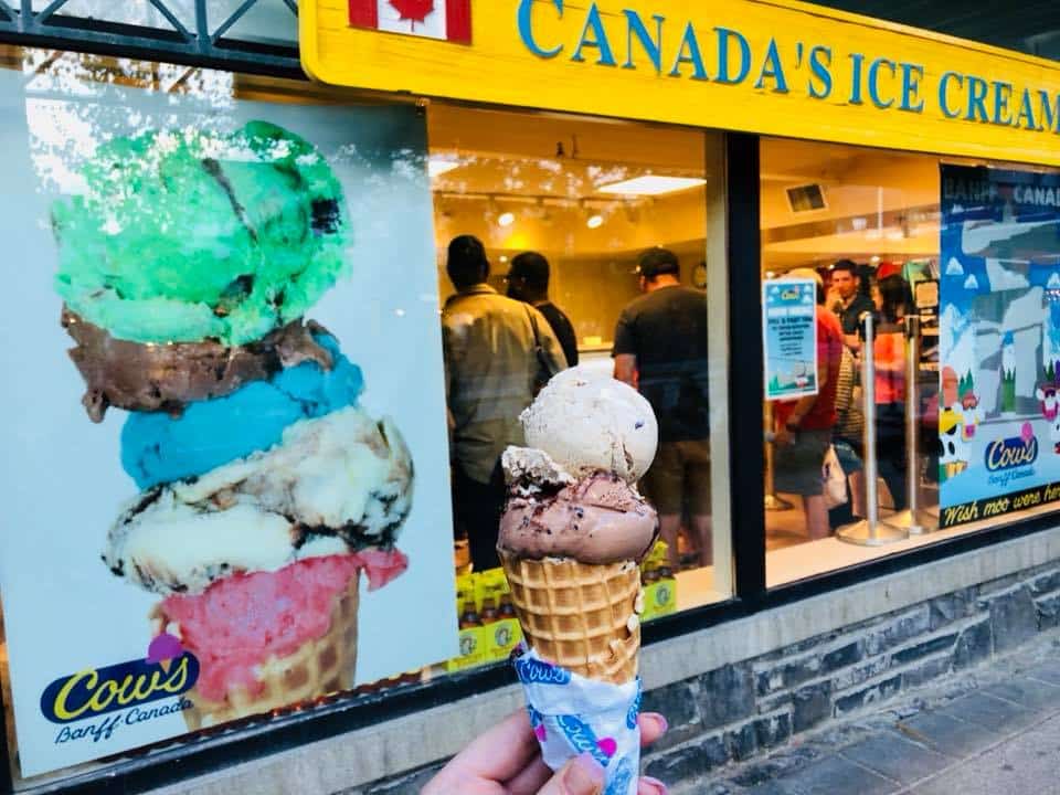 Cow's Ice Cream