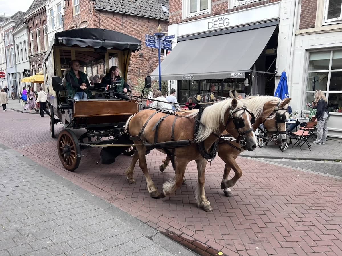 Horse and cart in Den Bosch
