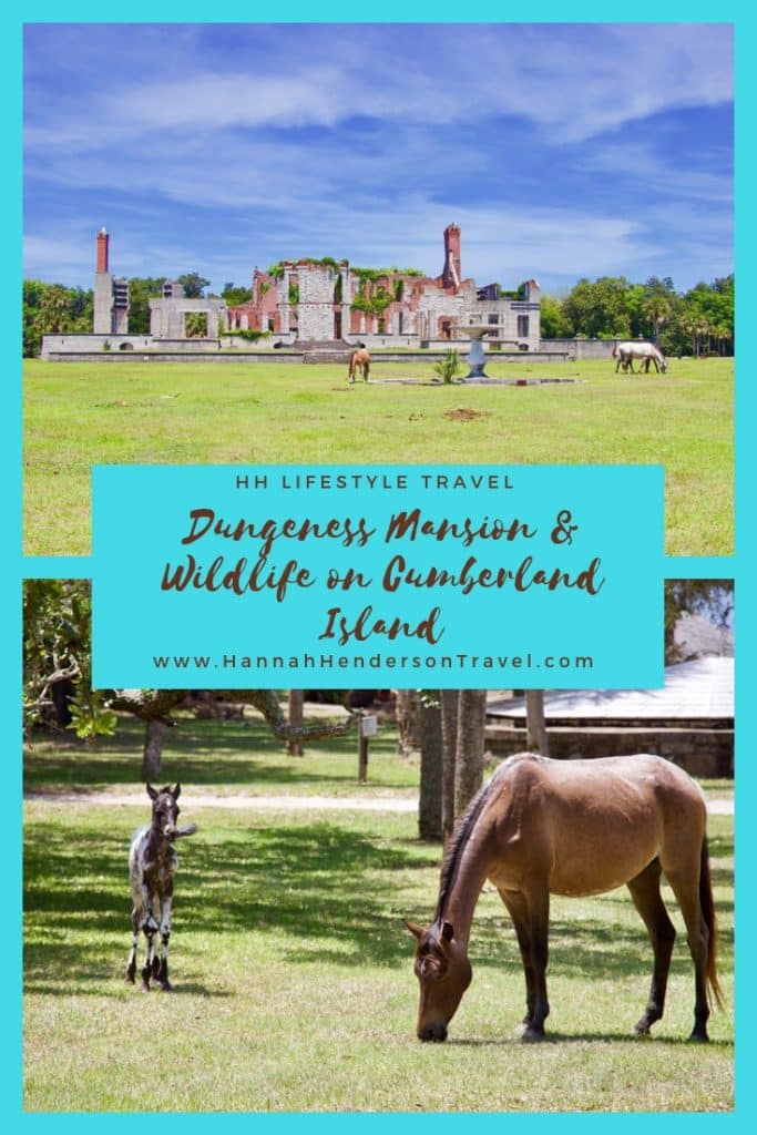 Dungeness Mansion & Wildlife on Cumberland Island - HH Lifestyle Travel