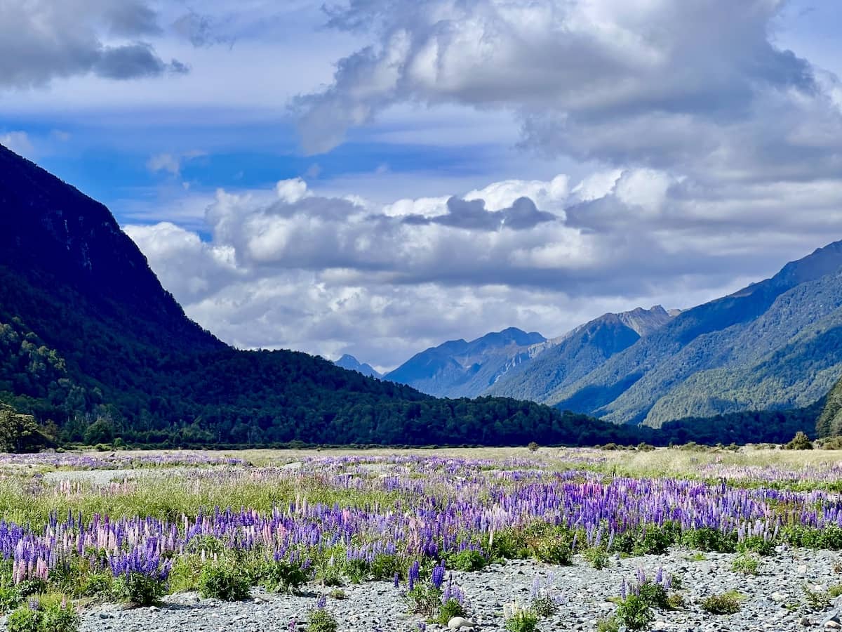 Eglinton River Valley