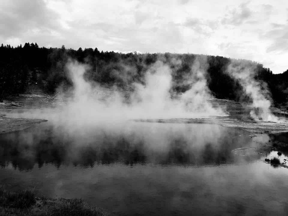 Thermal steam along Firehole Drive, Yellowstone