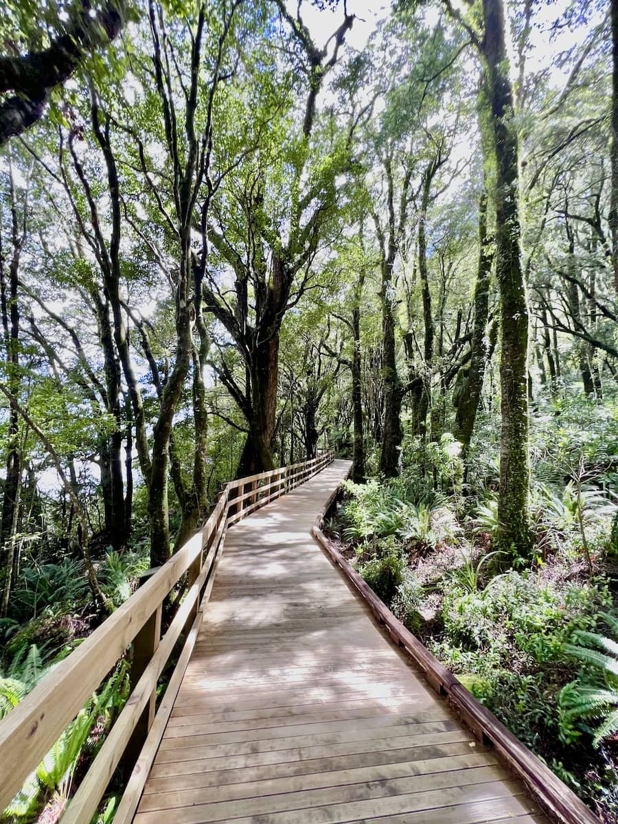 Foreshore Boardwalk, Milford