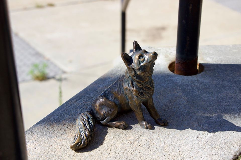Forsyth Foxhunt