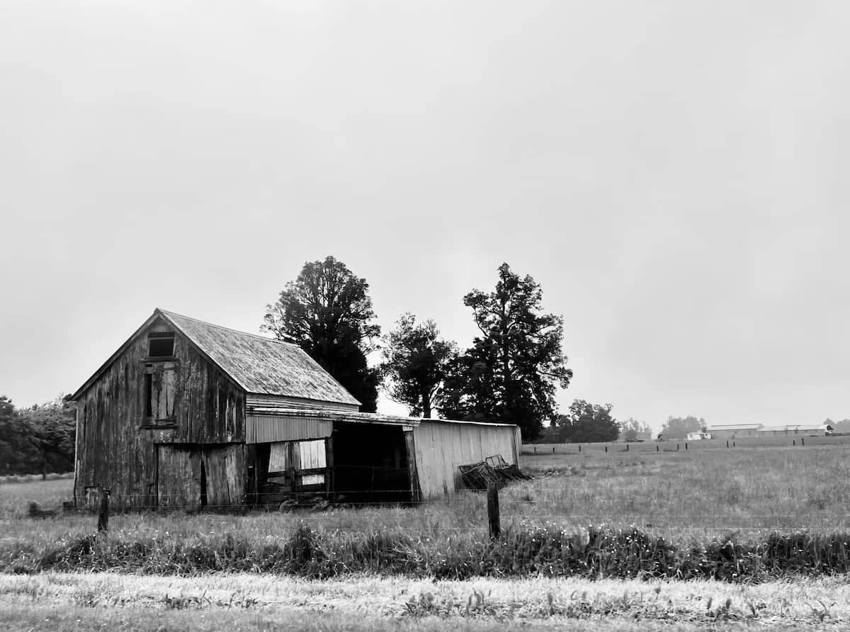 Old barn near Fox Glacier Lookout