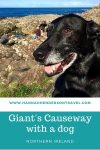 Visiting Giant's Causeway with a dog - HH Lifestyle Travel