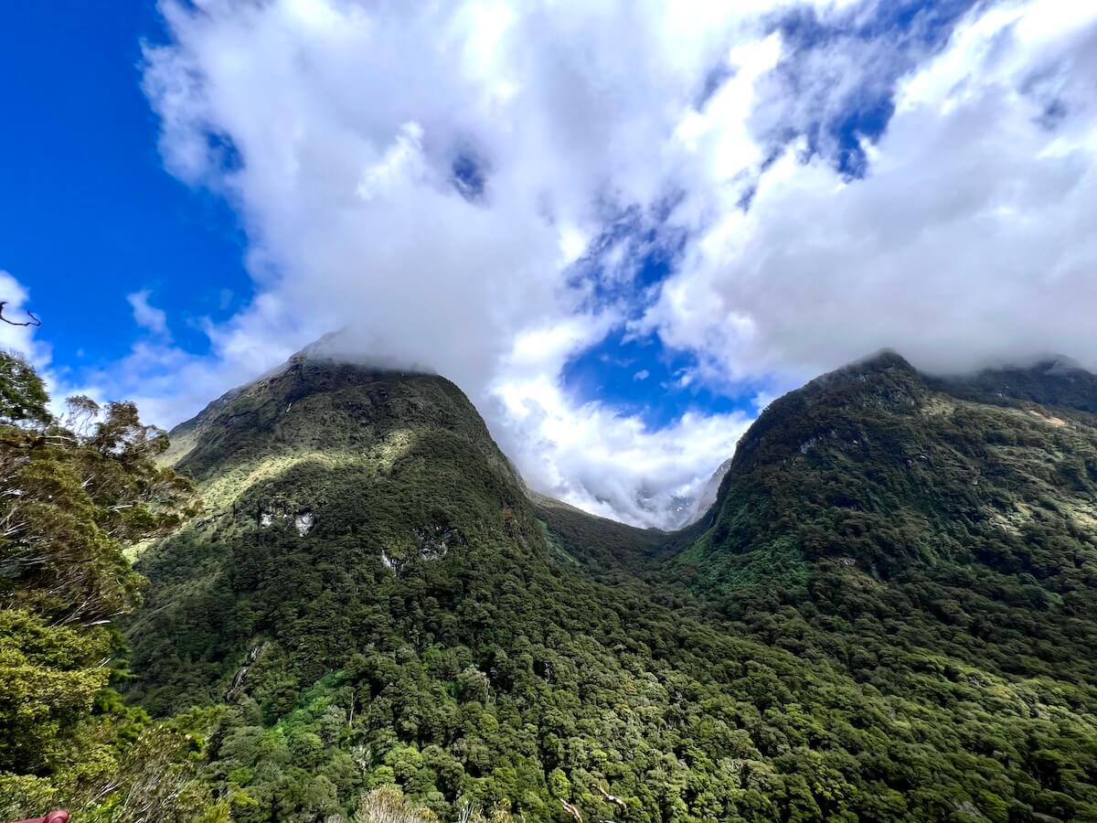 Hollyford Valley Lookout