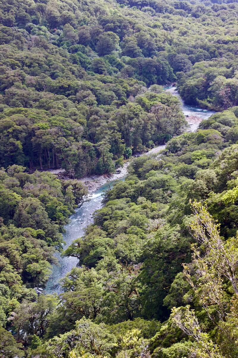 Hollyford Valley Lookout