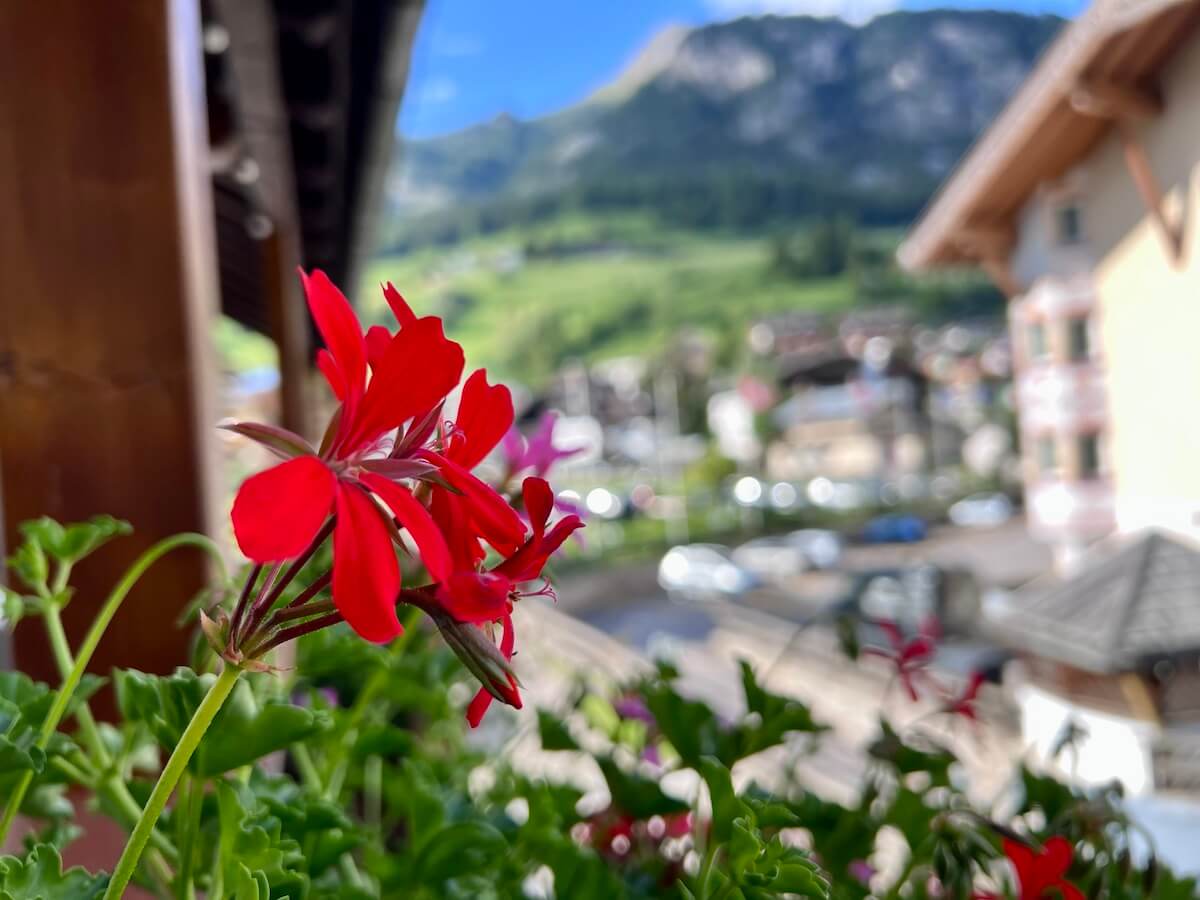 Hotel Medil, Campitello