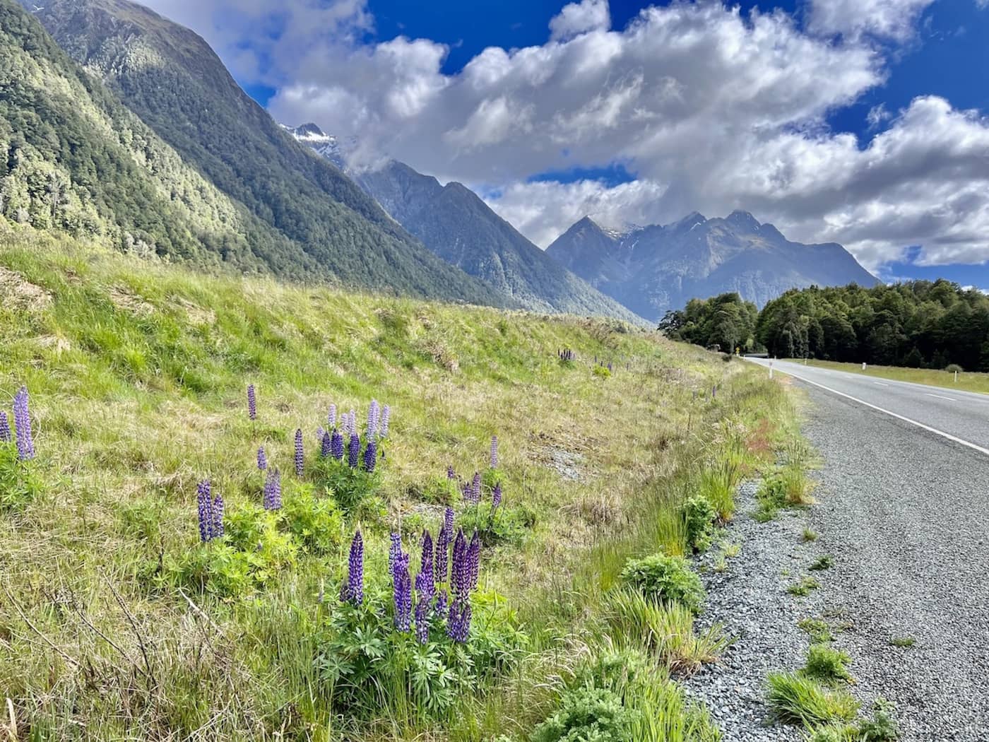 Te Anau to Milford Sound Self-Drive Guide - HH Lifestyle Travel