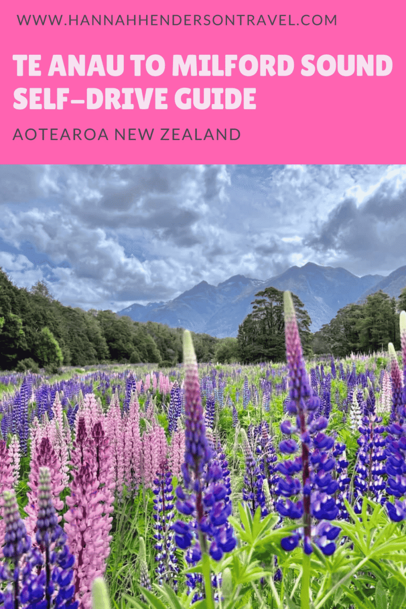Te Anau to Milford Sound Self-Drive Guide - HH Lifestyle Travel