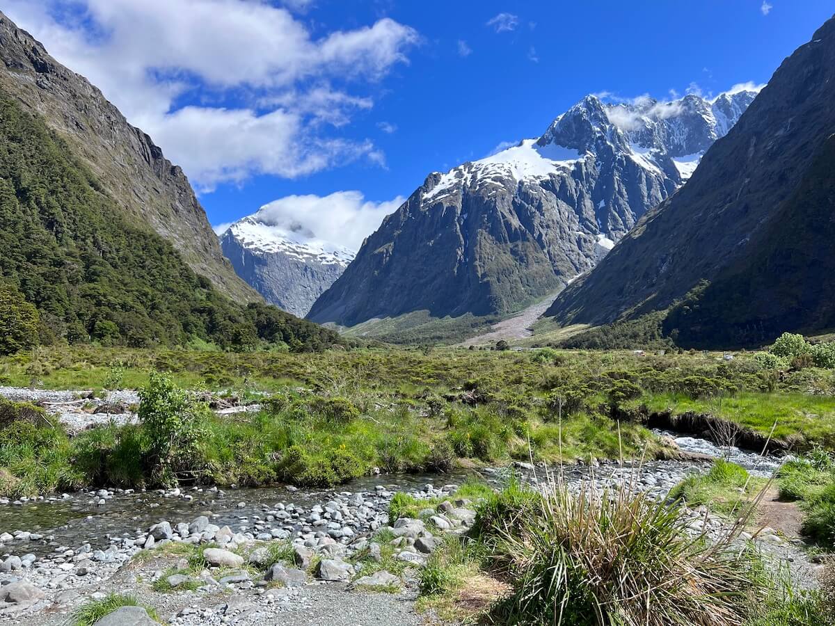 Monkey Creek, Milford Sound Highway