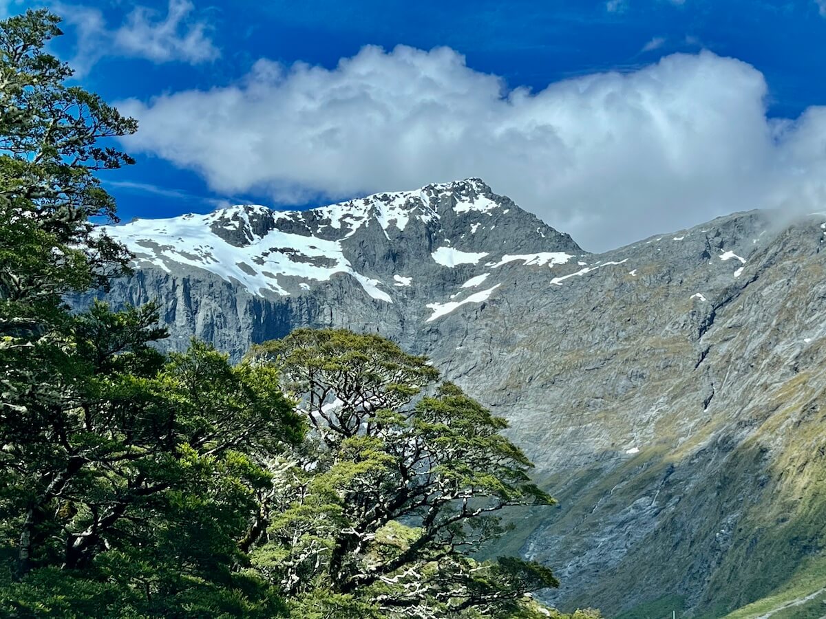 Mt Talbot