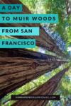 A Day Trip to Muir Woods from San Francisco - HH Lifestyle Travel