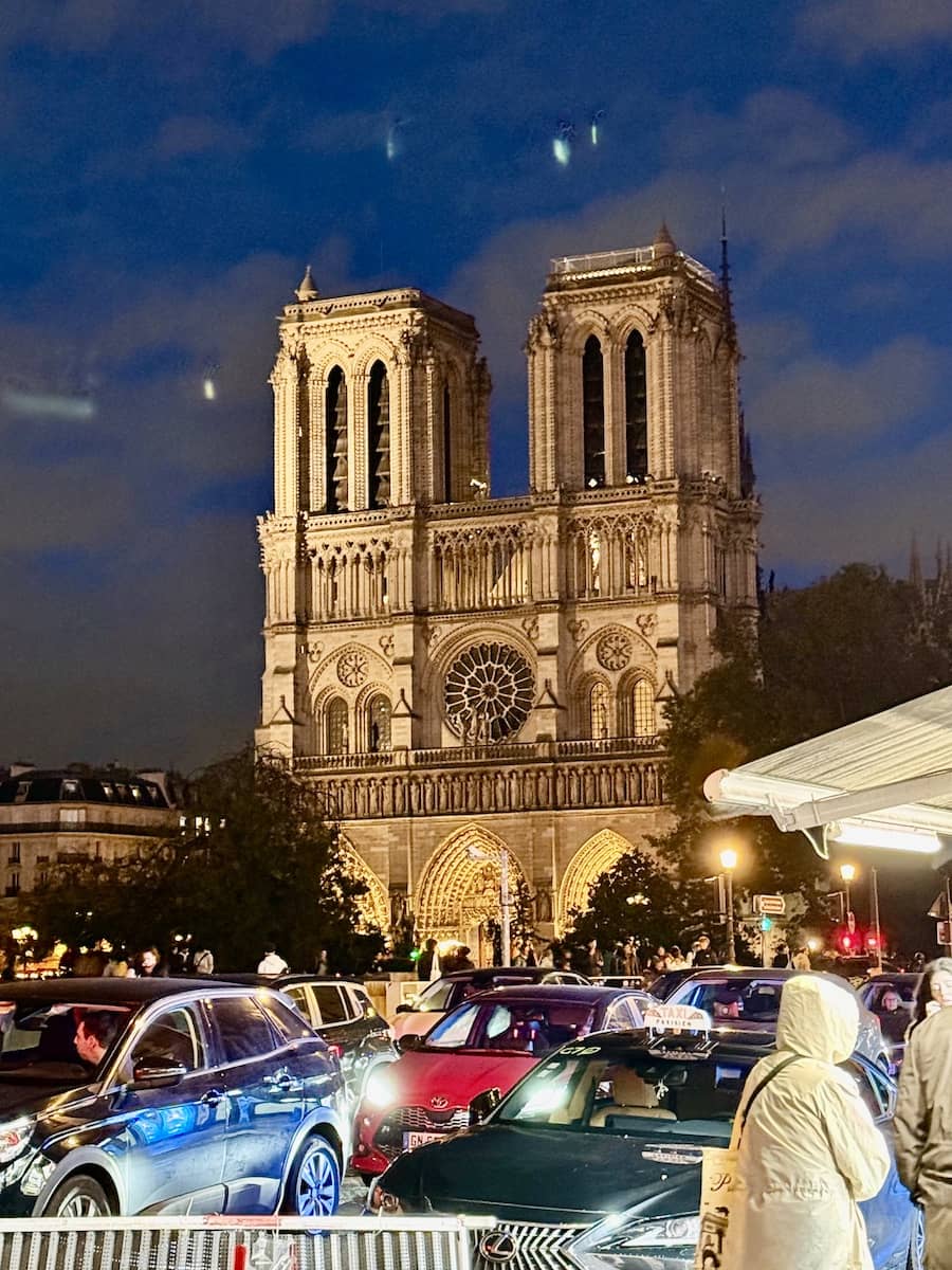 Notre dame by night