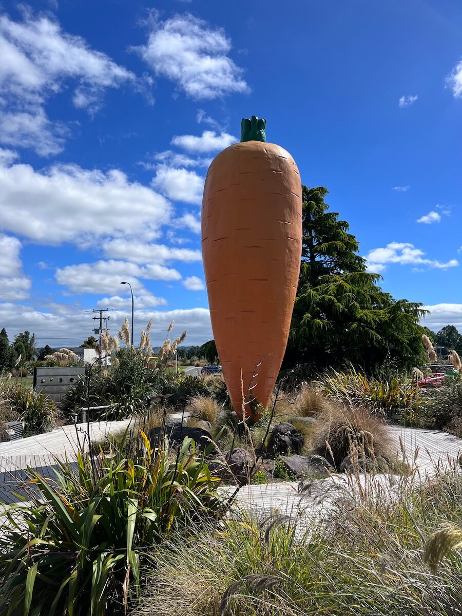 Ohakune Carrot