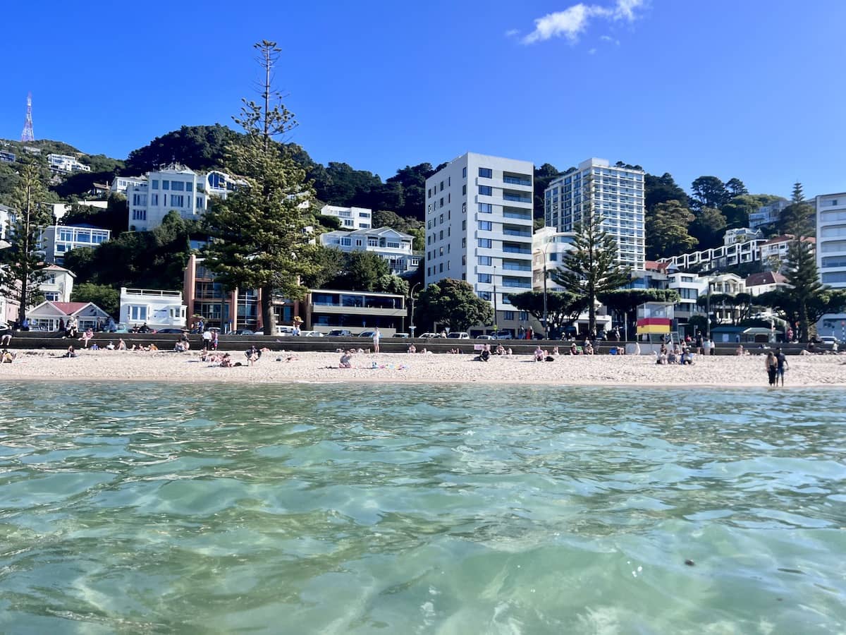 Oriental Bay from the water