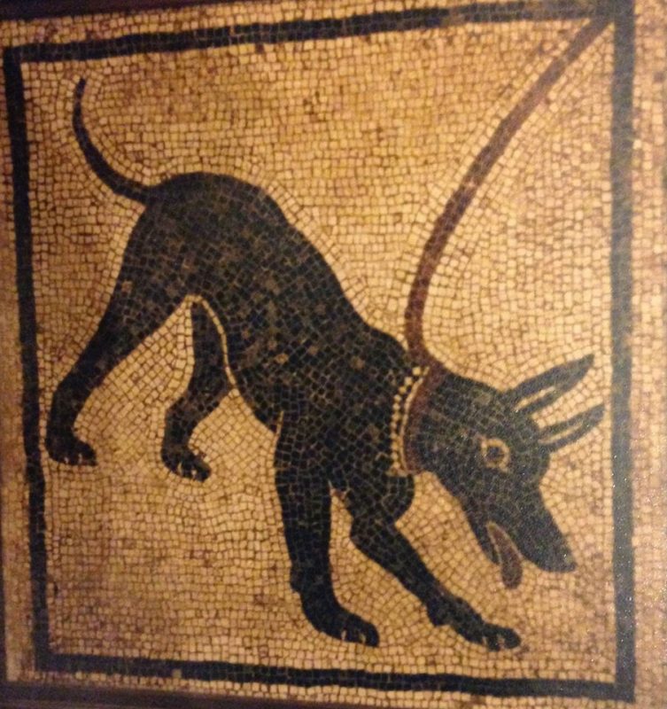 Dog mosaic from Pompeii