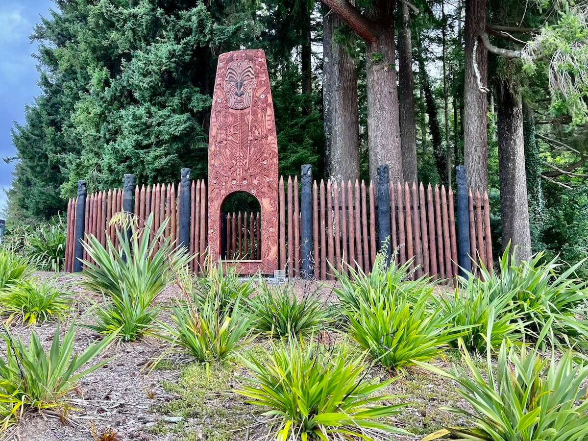 Rotorua Redwoods
