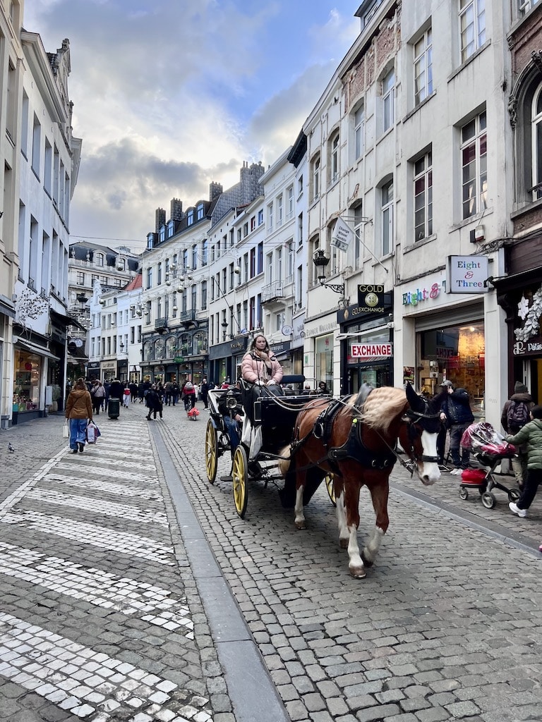 Rue du Marche Aux Herbes, Brussels