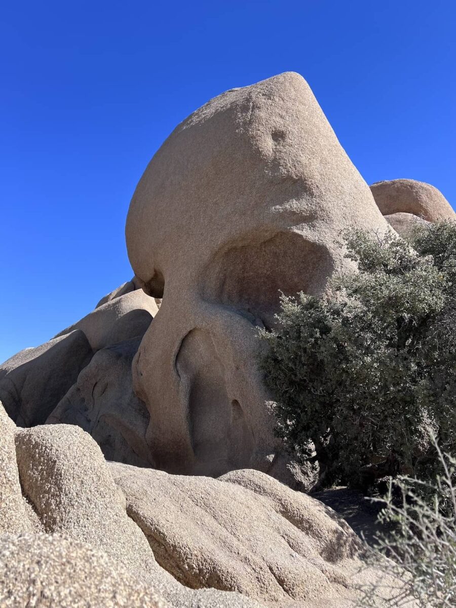 Skull Rock, Joshua Tree