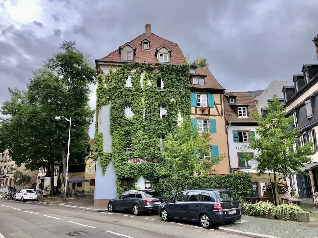 Ivy covered building in Strasbourg