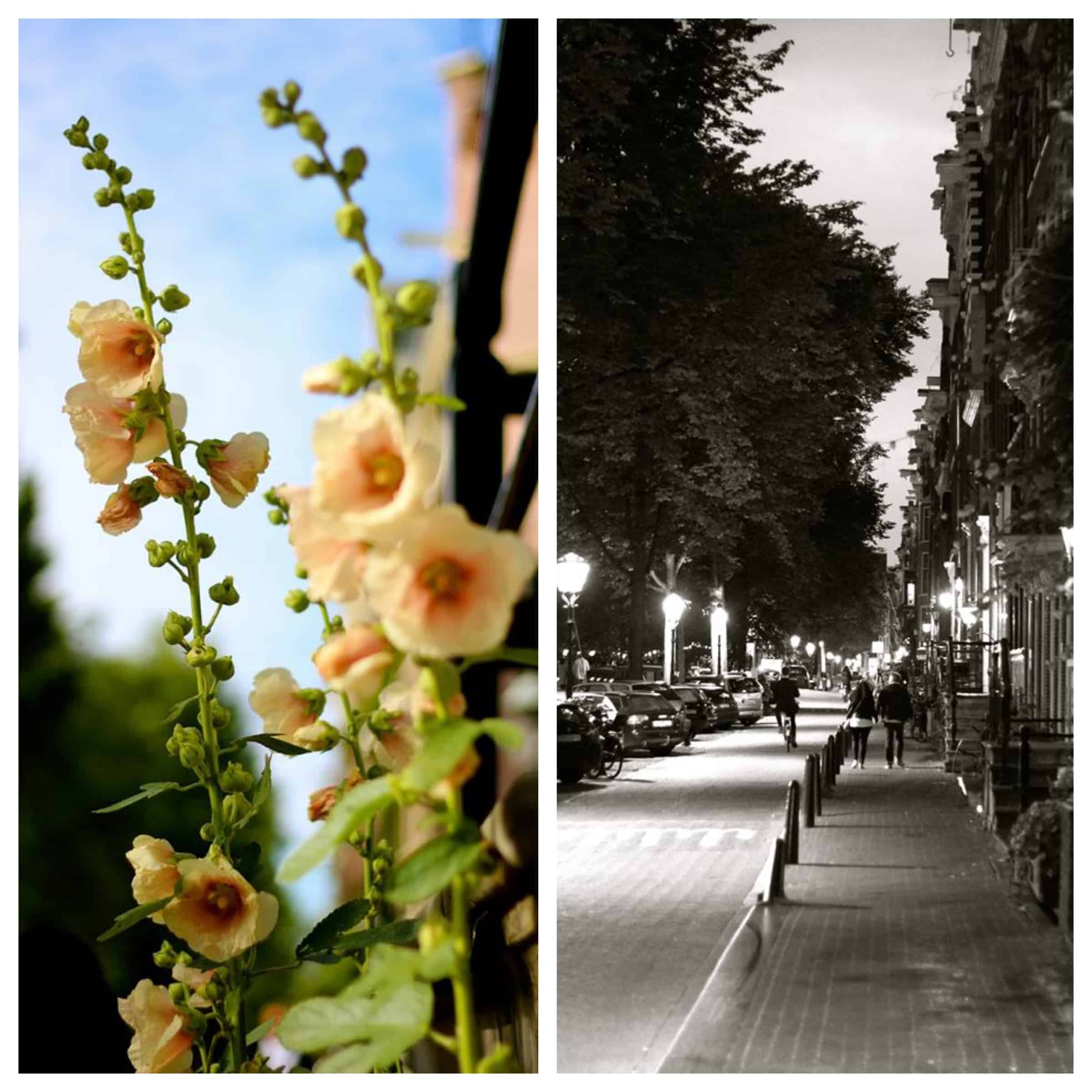 Flowers and Amsterdam street scene