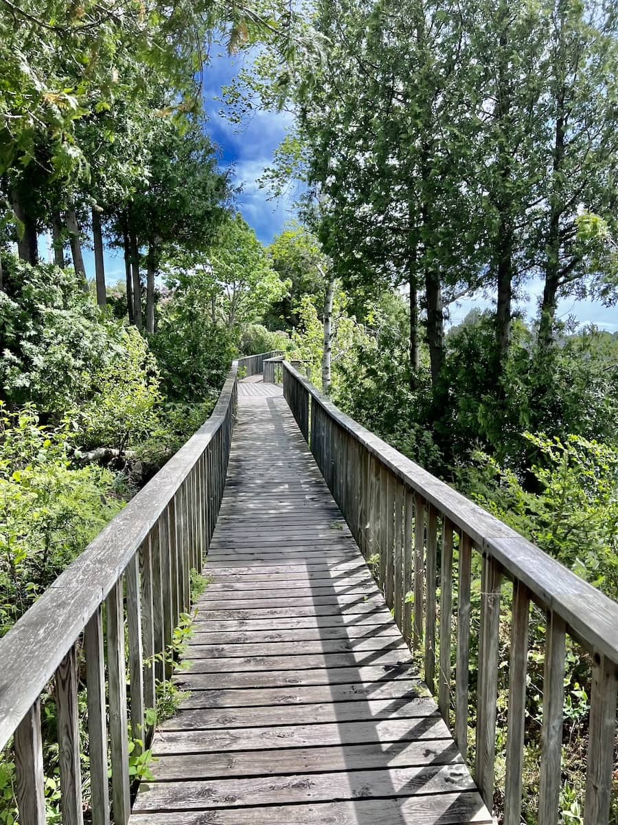 Boardwalk, Tobermory