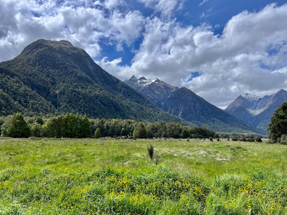 Upper Eglinton Campsite Views