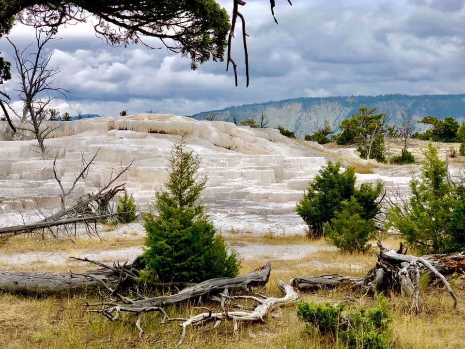 Upper Mammoth Spring Drive - Yellowstone Itinerary : 4 days