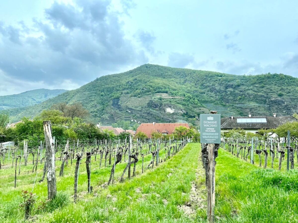 Wachau Valley, Austria