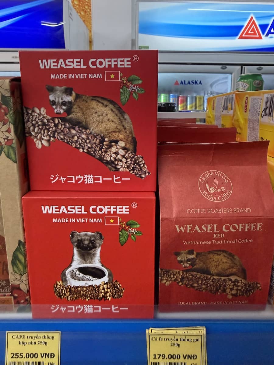 Weasel coffee, Vietnam