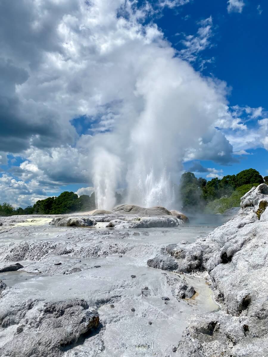 Pohutu Geyser - Photo by Michele from Endless Family Travels