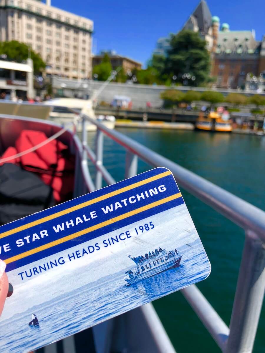 Whale watching in Victoria