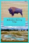 Yellowstone Itinerary : 4 days - HH Lifestyle Travel