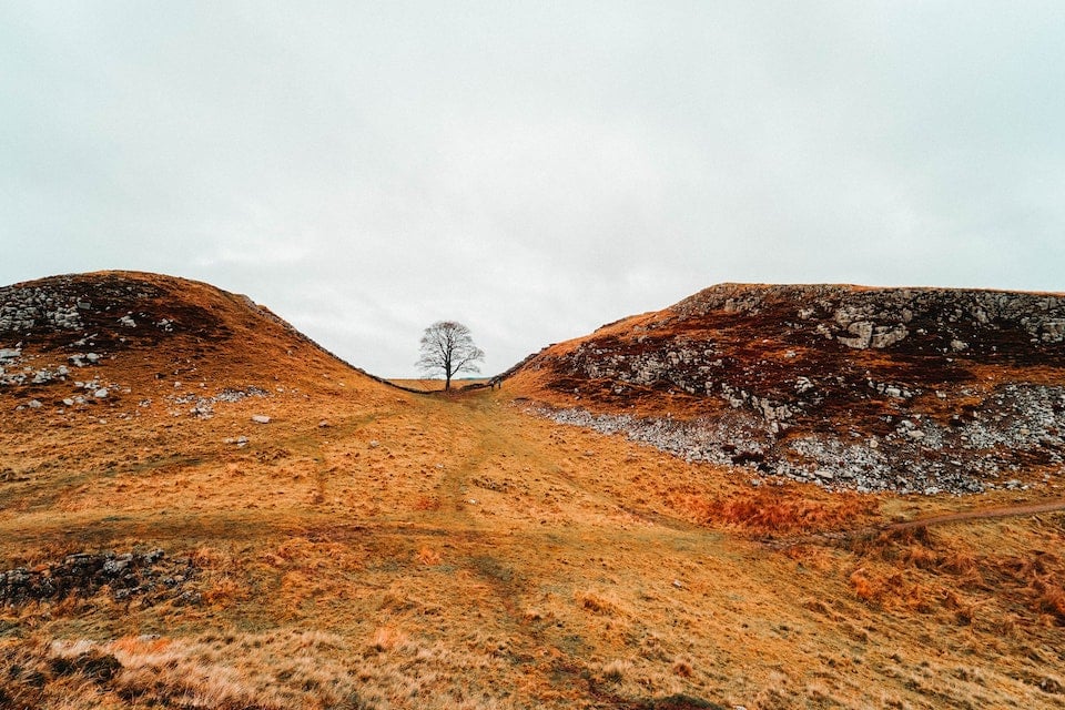 Sycamore Gap - Photo by Toa Heftiba on Unsplash